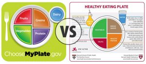 Harvard vs. USDA: Comparing Healthy Eating Plates