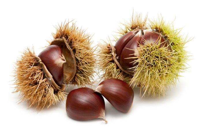 Chestnuts healthy on sale