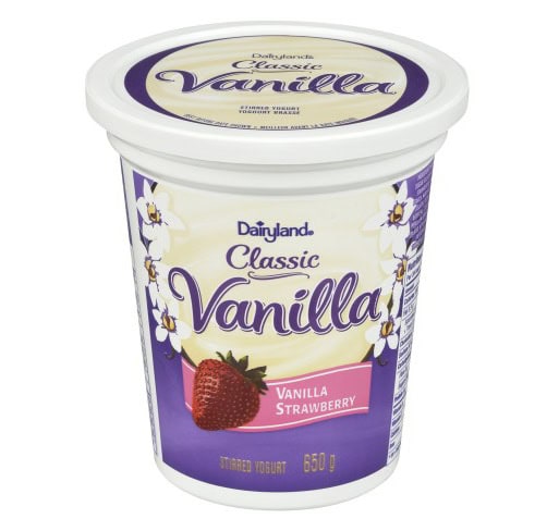 Canadian Yogurt Dairyland Classic Vanilla